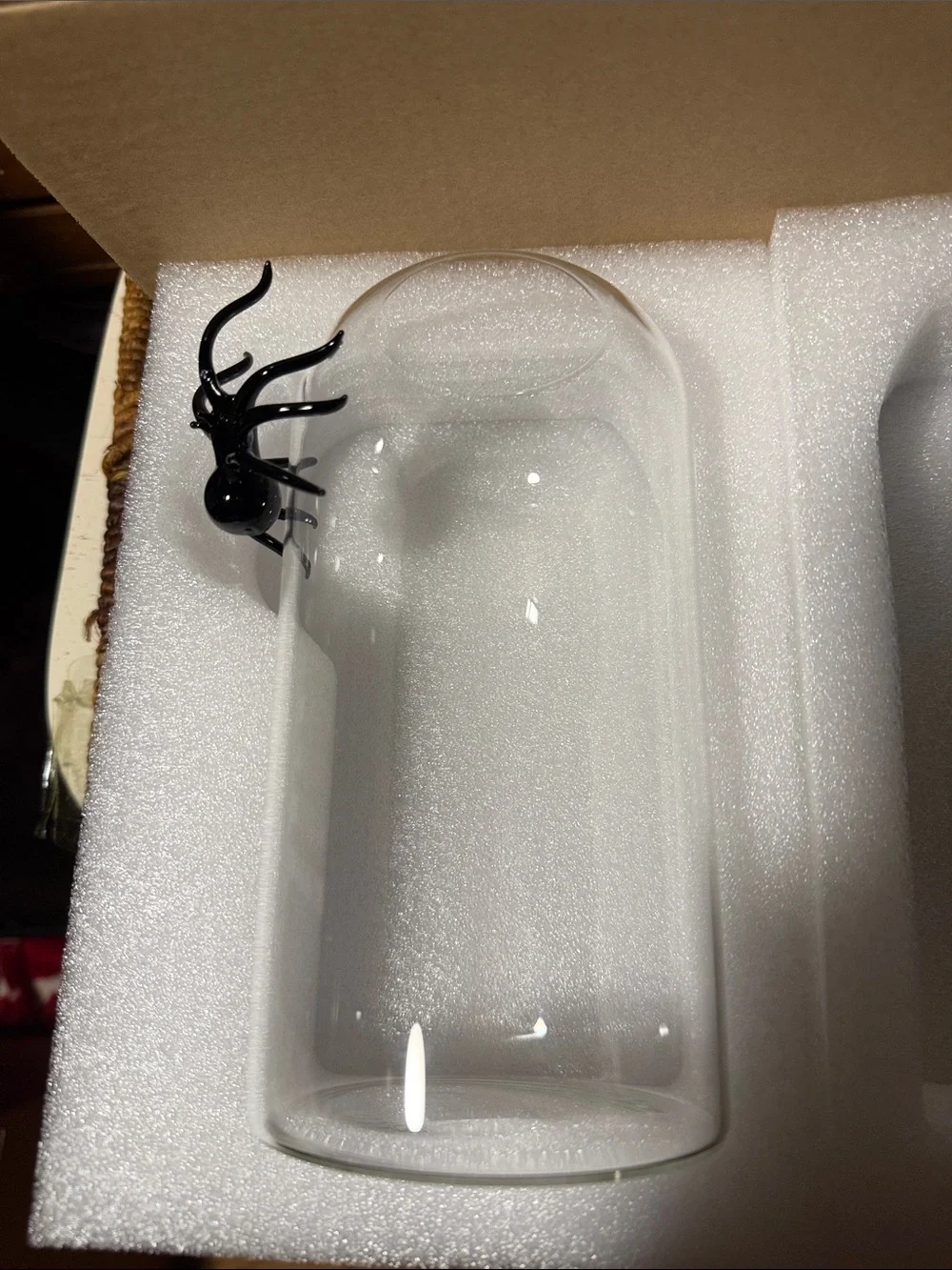 West Elm Clear Glass Bud Vase with Black Spider 🕷️ Accent BNIB